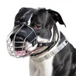 Best Fit Wire Basket Dog Muzzle for Amstaff dog breed-m4light