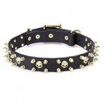 'Hard Spikes’n’Skulls' Leather Dog Collar with Brass Hardware 1 inch (25 mm) Wide