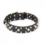 FDT Artisan ‘Rock Star’ Stylish Leather Dog Collar with Brass Plated Decorations 1 1/2 inch (40 mm) Wide
