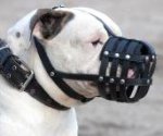 Everyday Light Weight Super Ventilation American Bulldog muzzle - product code M41