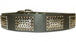 Wide Leather Dog Collar with Massive Plates - Training and Walking Accessory