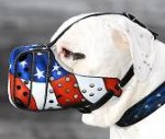 Hand painted by our artists leather Muzzle "Dondi" Plus - American Pride - product code m77American Pride