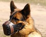 Handcrafted 'Dondi' Style Leather Dog Muzzle with Air Circulation Holes