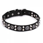 ‘Silver sun’ Leather Canine Collar with Cones and Large Round Studs
