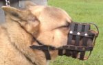 Akita in Everyday Light Weight Super Ventilation Akita muzzle - product code M41