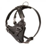 Great Attack Training Leather Canine Harness for Large/Medium Breed Dogs