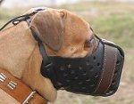 Leather dog muzzle "Dondi" style For Bullmastiff - M55