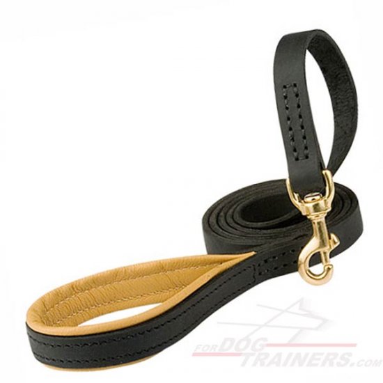 Super Comfortable Leather Dog Leash with Padded Handle