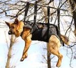 German Shepherd Tactical Insertion Nylon Dog Harness