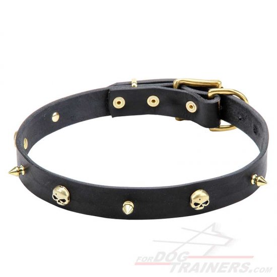 “Rock the Goth” Leather Dog Collar with Brass Spikes and Skulls