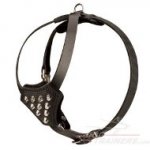 Stylish Studded Dog Harness for Active Puppies