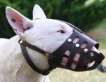 Bull Terrier leather muzzle M11