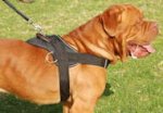 *All Weather Extra Strong Nylon Harness - H6