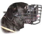 Perfect Rubber Coated Wire Cage Muzzle for Cane Corso Winter Walking/Training