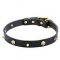 “Rock the Goth” Leather Dog Collar with Brass Spikes and Skulls