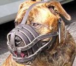 Adjustable Leather Cage Muzzle for Boerboel and Other Large Breed Dogs