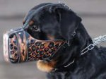 Hand Painted "Magma" Style Leather Dog Muzzle