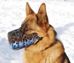 Exclusive Blue Fire Painted Leather Dog Muzzle