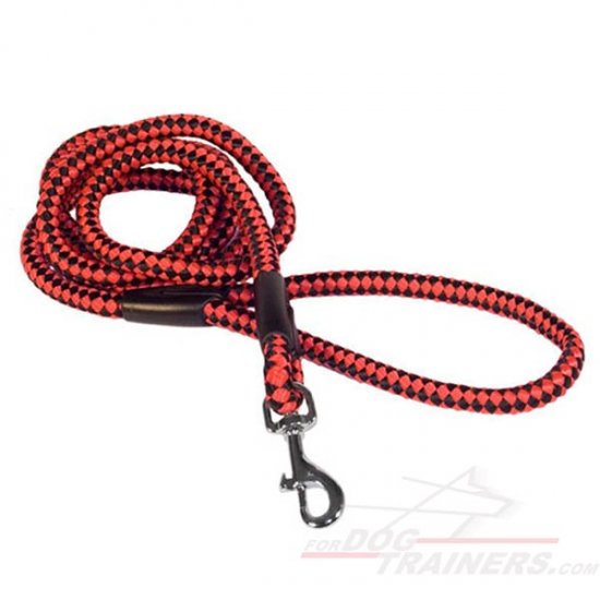 Easy Walking Cord Nylon Lightweight Dog Leash