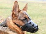 Everyday German Shepherd Leather Dog Muzzle