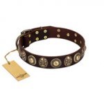 "Carebbian Treasures" FDT Artisan Brown Leather Dog Collar with Old-Bronze-like Conchos and Medallions with Skulls