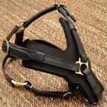 Agitation Leather Dog Harness Padded_31