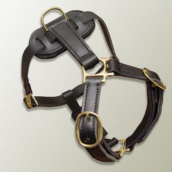 Luxury Handcrafted Leather Dog Harness Made To Fit Collie H7