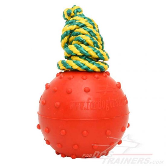 Solid Rubber Dog Training Water Ball - Medium