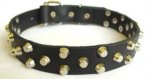 Walking and Training Wide Leather Dog Collar with Nickel Pyramids