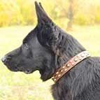 Fashion German Shepherd Leather Dog Collar with Pyramids and Studs