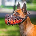 Handpainted Leather Malinois Muzzle with Fire Flames