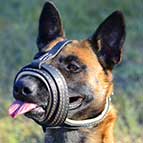 Loop-Like Nappa Padded Leather Malinois Muzzle