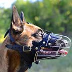 Wire Cage Belgian Malinois Muzzle for Different Activities