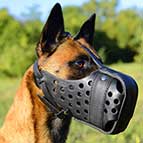Leather dog muzzle "Dondi" PLUS style For Malinois - M55MAL
