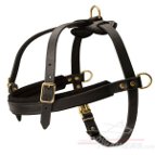 Boerboel Mastiff Pulling/Tracking Leather Dog Harness