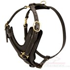 Border Collie Leather Dog Harness- Tracking,Walking Dog Harness