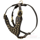 Boxer Studded Walking dog harness- handmade leather harness