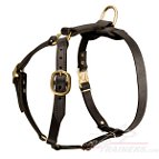 Luxury handcrafted dog harness for British Bulldog