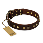 'Fashion Studs' FDT Artisan Decorated Leather Dog Collar with Old Bronze-Plated Steel Hardware 1 1/2 inch (40 mm) Wide