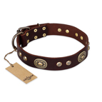 'Breath of Elegance' FDT Artisan Decorated with Plates Brown Leather Dog Collar