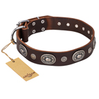 'Extra Pizzazz' FDT Artisan Adorned Brown Leather Dog Collar