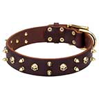 'Hard Rock' Leather Canine Collar with Brass-Plated Spikes and Skulls