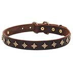 Narrow leather dog collar "Yellow star" with old-like bronze decoration