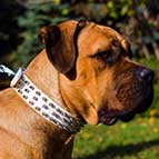 Brand-New Fashionable White Leather Cane Corso Collar with Spikes