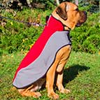 Winter Warming Nylon Cane Corso Coat for Walking