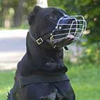 Cane Corso Basket-like Metal Dog Muzzle
