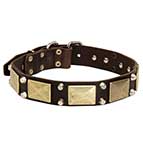 Decorated with Plates and Cones Leather Dog Collar for Everyday Walking