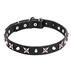 "Blazing Stars" Leather Dog Collar with Stars and Cones - 4/5 inch (25 mm)