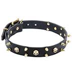 'Heavy Metal' Leather Canine Collar with Spikes and Skulls