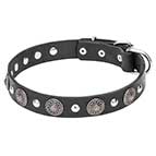 "Shiny Charm" Fashionable Leather Dog Collar with Plates and Half-Ball Studs - 1 1/5 inch (30 mm)